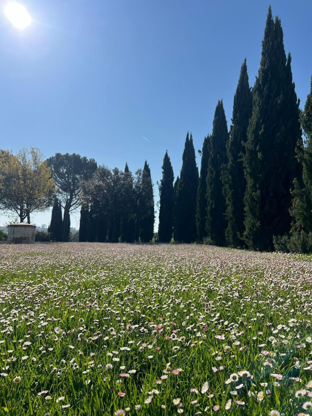 Villa Bellora 코르토나 외부 사진